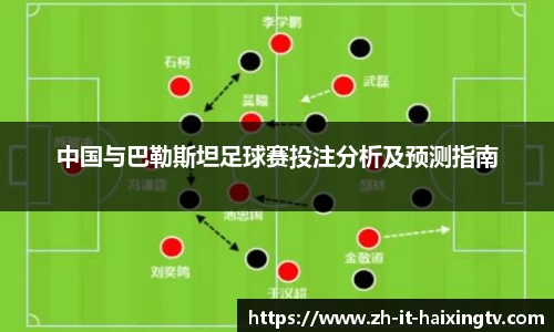 中国与巴勒斯坦足球赛投注分析及预测指南