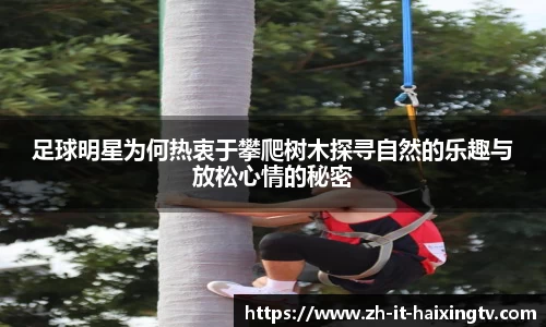 足球明星为何热衷于攀爬树木探寻自然的乐趣与放松心情的秘密